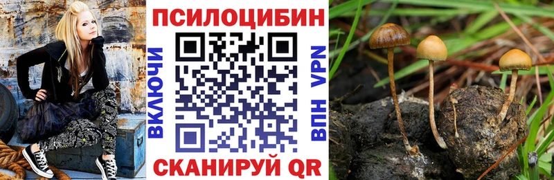 Купить где  Верхняя Салда  Псилоцибиновые грибы Magic Shrooms 